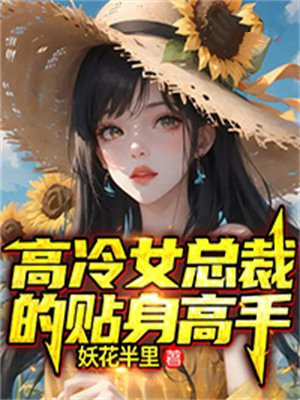 高冷女总裁的贴身高手txt