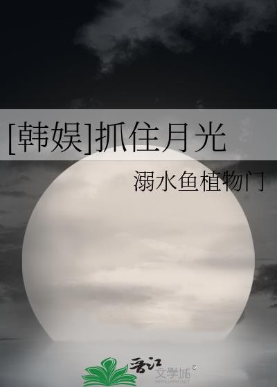 抓住月亮的人小说