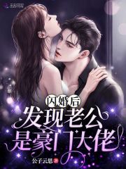 闪婚发现老公是总裁的小说