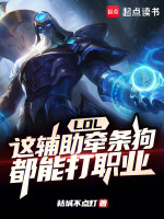 辅助英雄lol