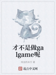 才不是做galgame呢起点