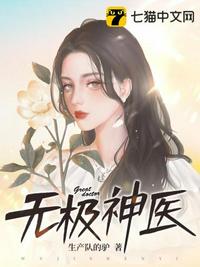 无极医师小说