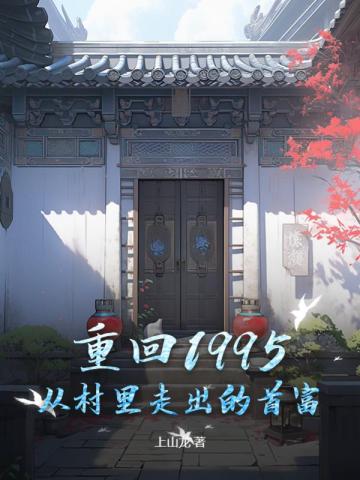 重回95年小说