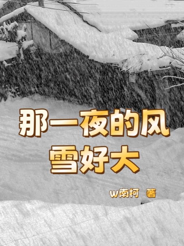 那一夜的风雪好大是哪一年出版的