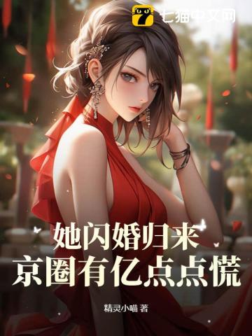 她闪婚燕家书名