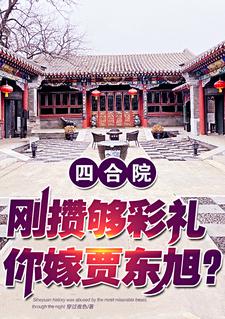 四合院:悔婚就悔婚