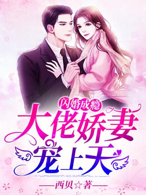 闪婚成瘾大佬娇妻宠上天全