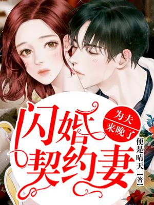 闪婚契约妻:为夫来晚了短剧大结局