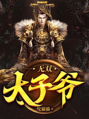 无双太子爷完整版